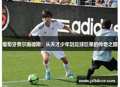 葡萄牙费尔南德斯：从天才少年到足球巨星的传奇之路